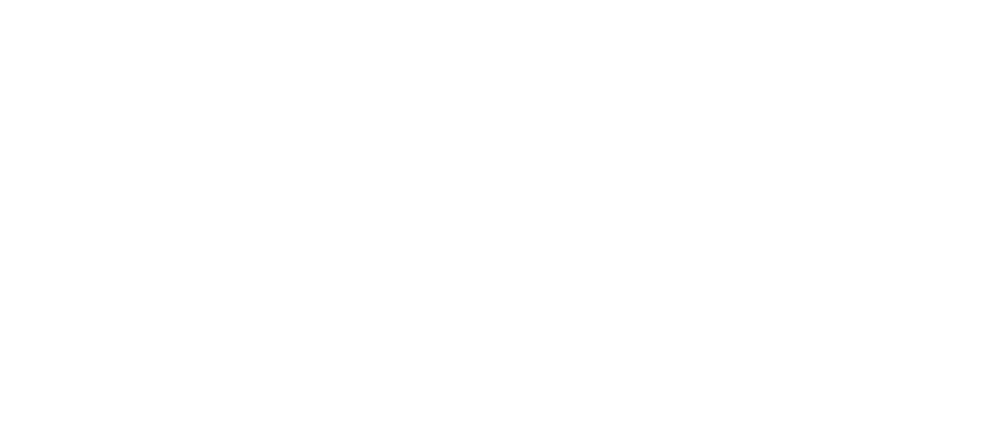 EXPERTS ONLY logo